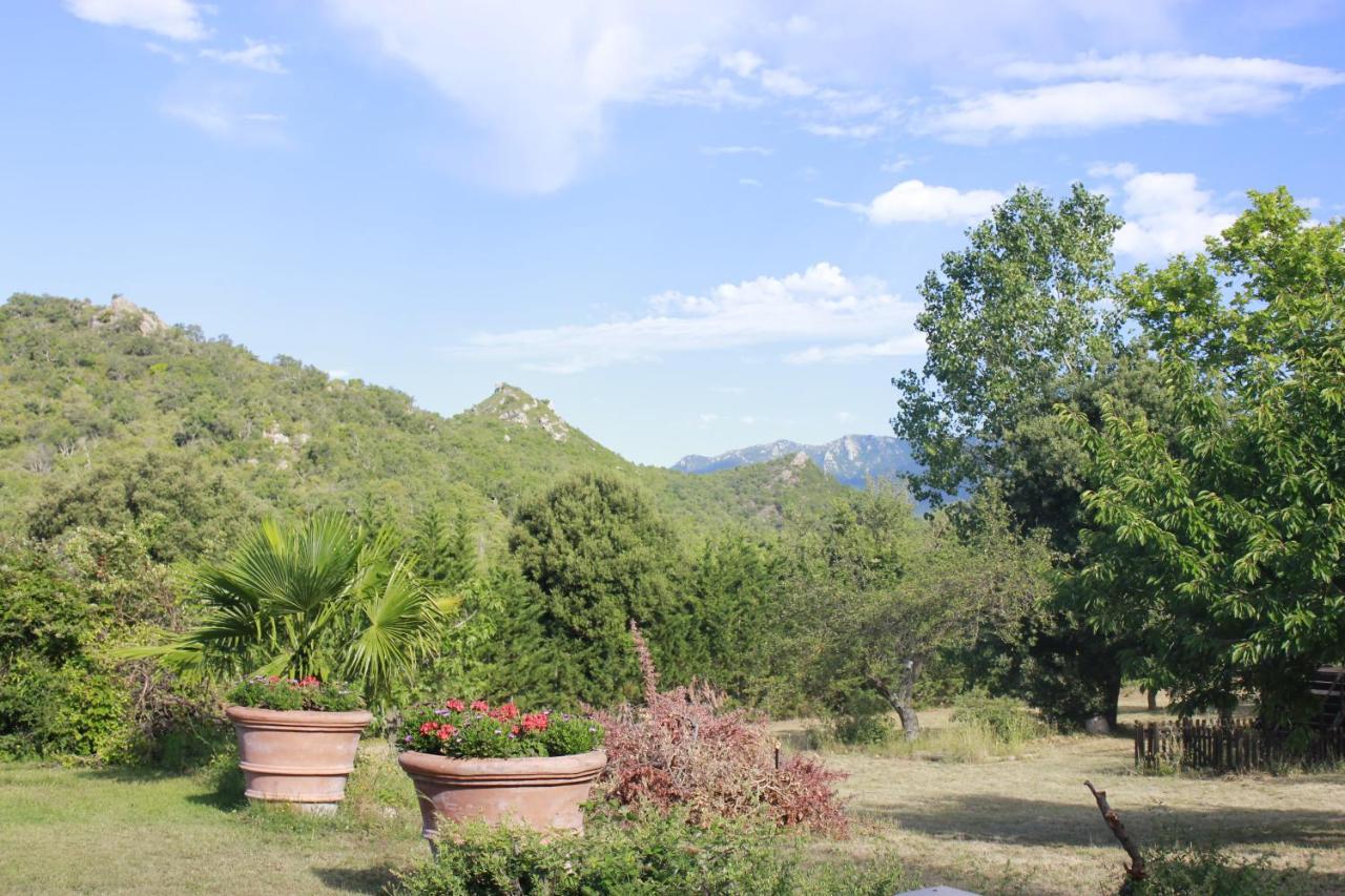 Masia Mimosa Darnius Exteriér fotografie